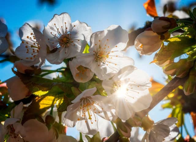 Autor zdjęcia: Nicholas Messner