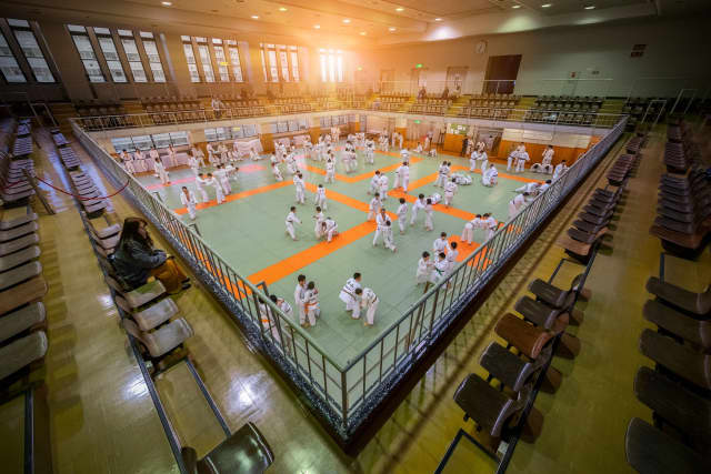 dojo